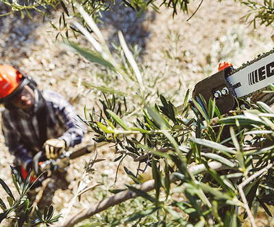 Power Pruners