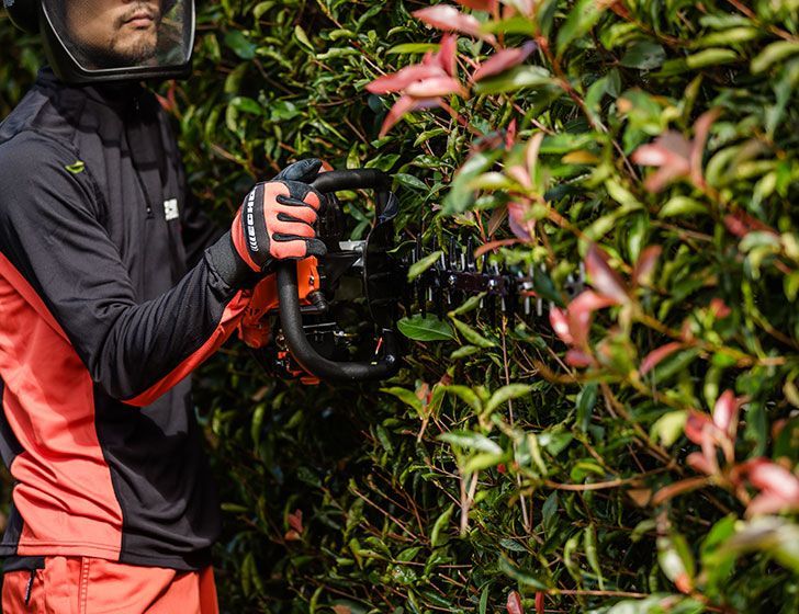 Japanese blades. Japanese blades.